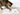 Cats Play Games Too Activity Board